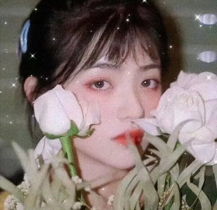 爱情与友谊